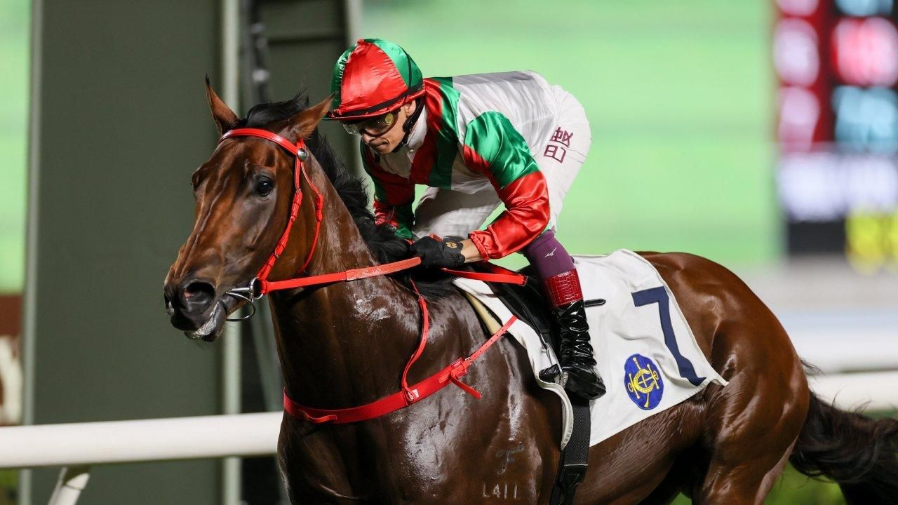 Ex-Waller horse blows field away on Hong Kong debut