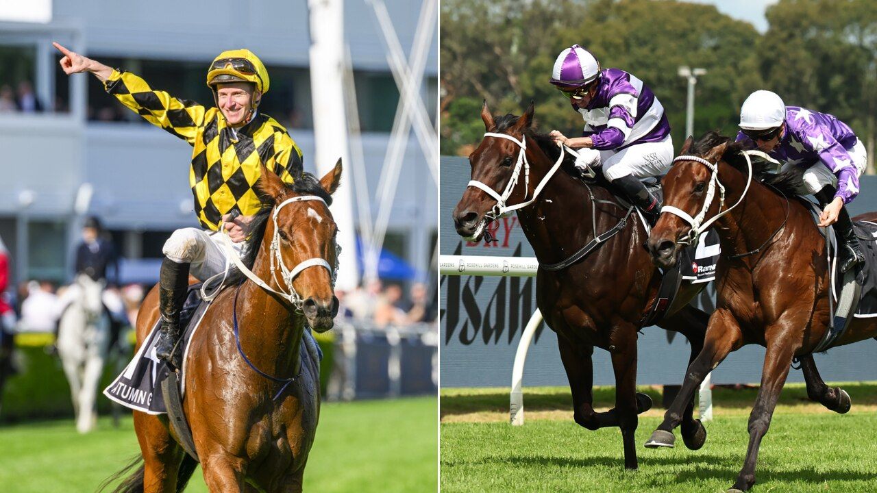 Autumn Glow, Aeliana spring start points revealed