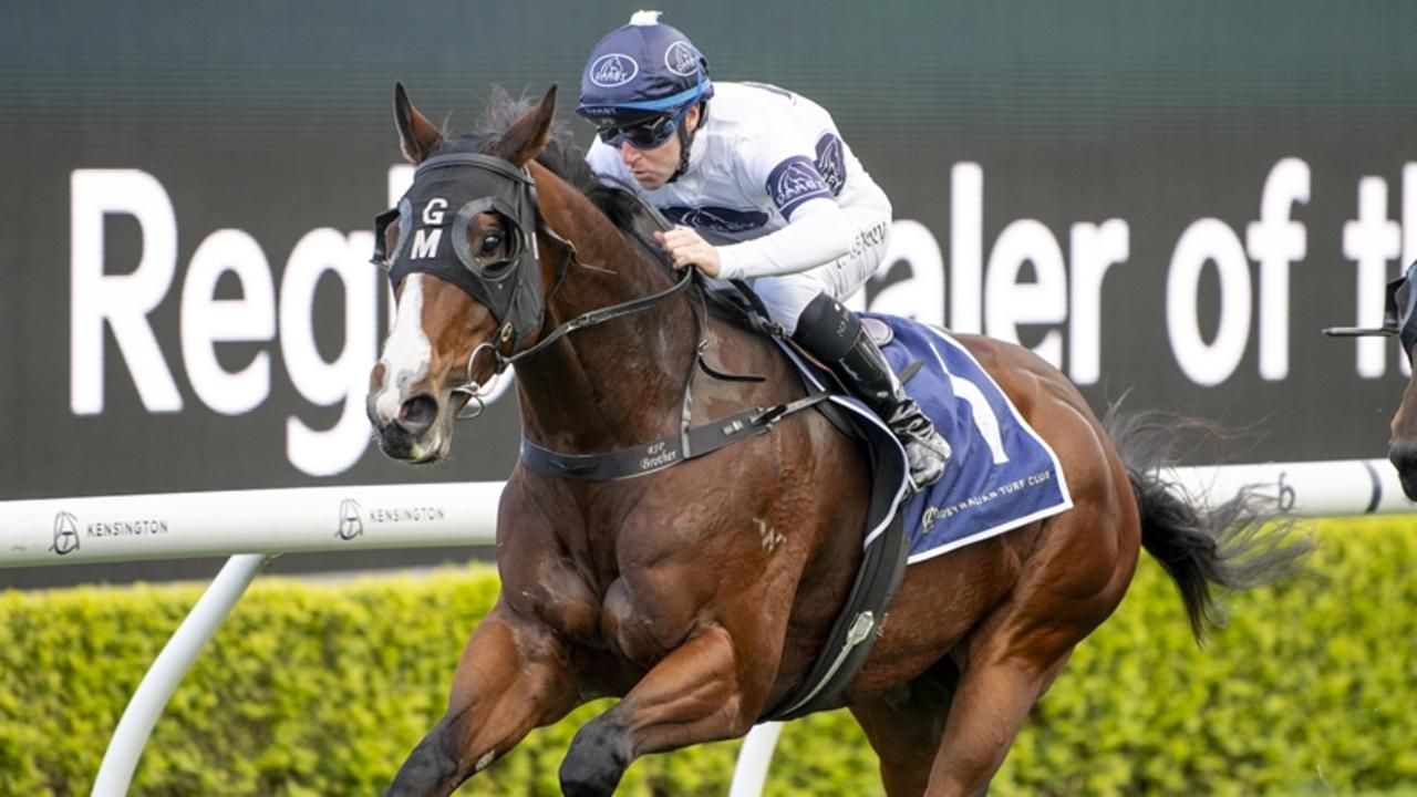 Mitch Beer and George Carpenter to build on season at Rosehill