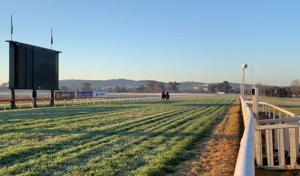 Tips for NSW racing on Monday at Wagga, Gunnedah