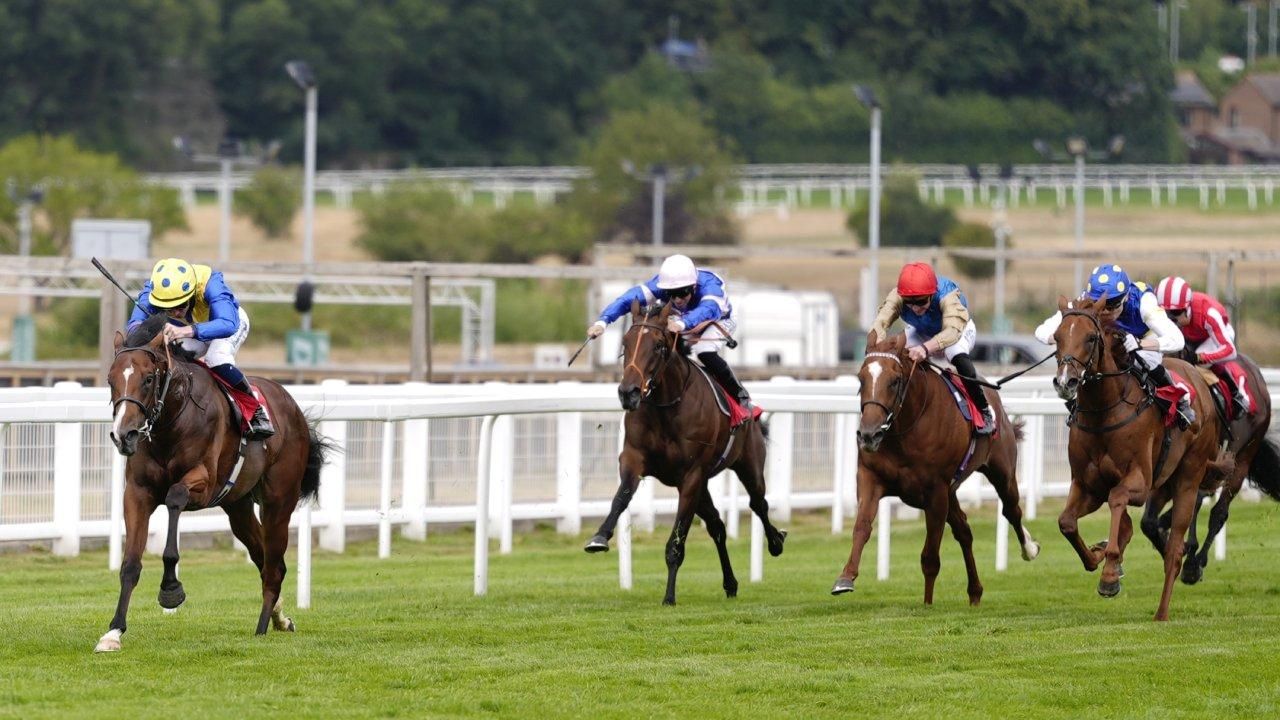 Jockey in England earns 28-day ban for easing up early