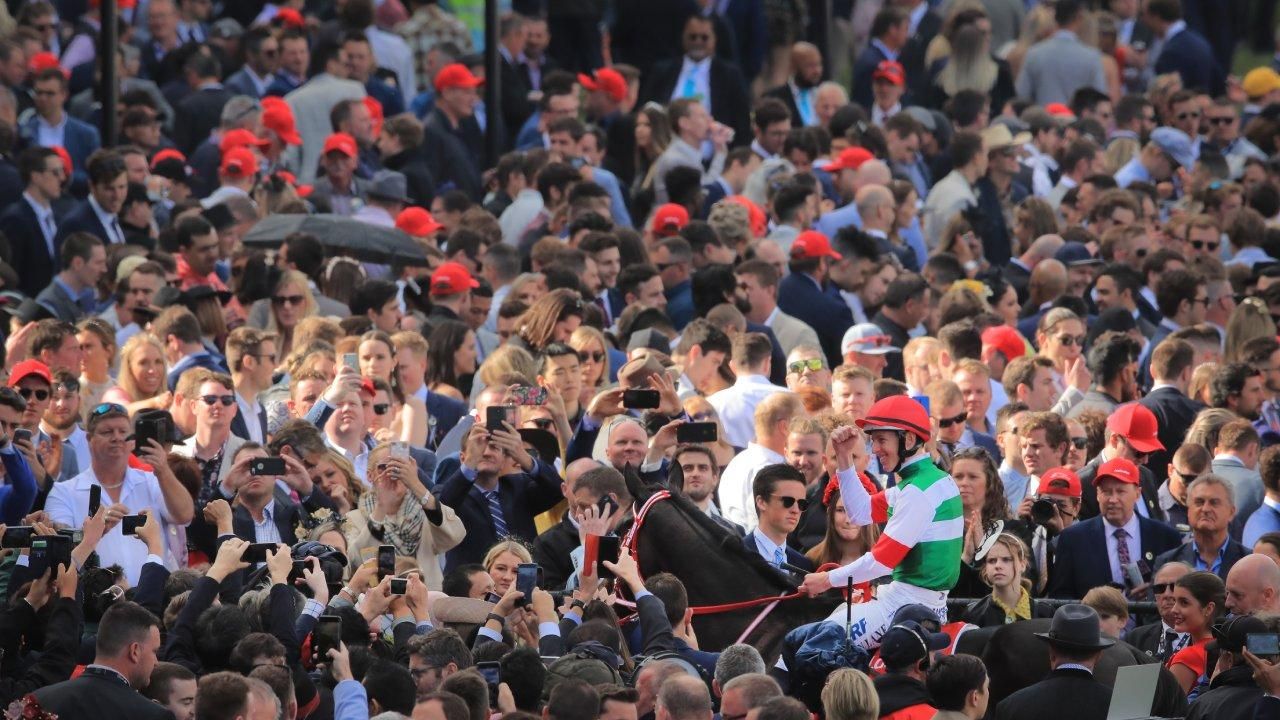 Half-brother to Cox Plate winner set for debut