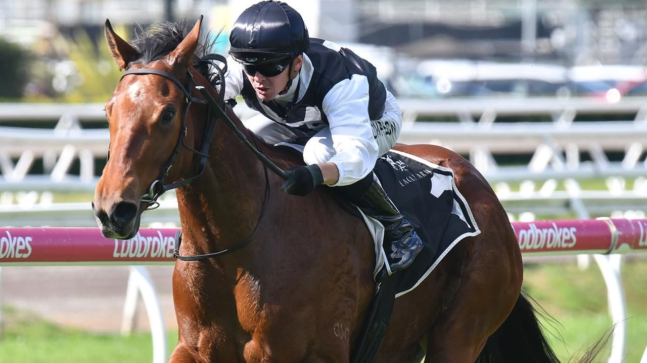 Mental health behind short-priced Doomben favourite ownership