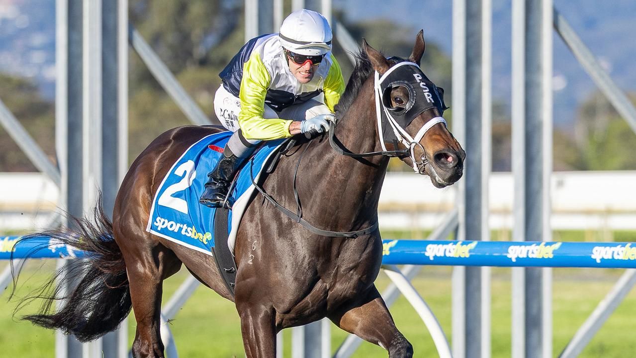 Stokes partnership strikes as Noel Callow makes winning SA return