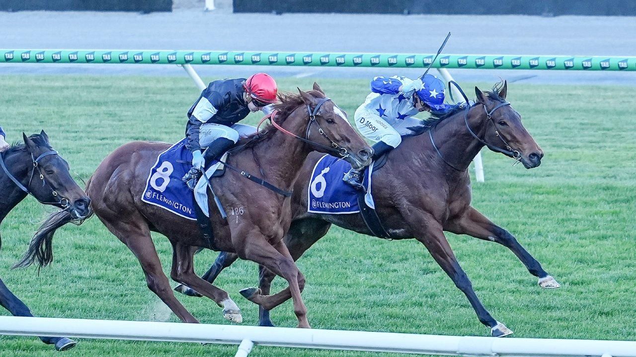 Moor fined $3500, suspended for whip-use
