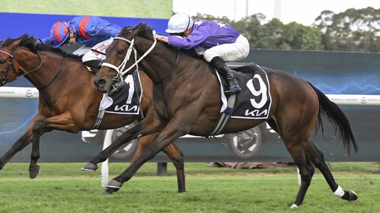 Waller gives Aeliana update after barrier mishap