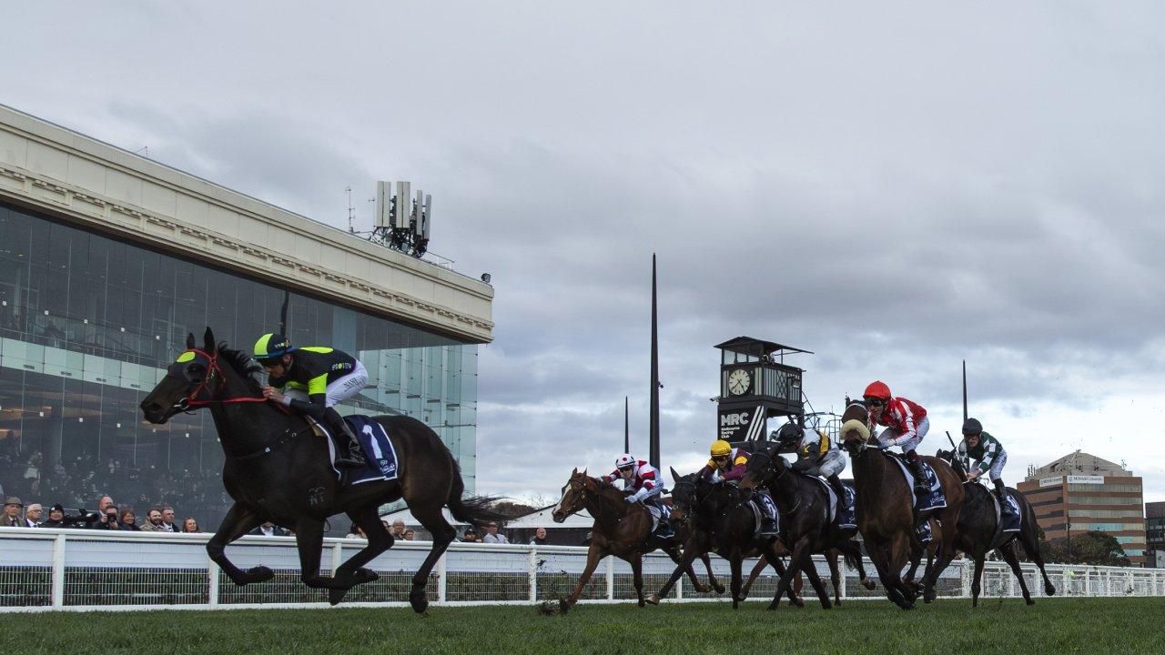 Caulfield Snapshot - Saturday, August 15