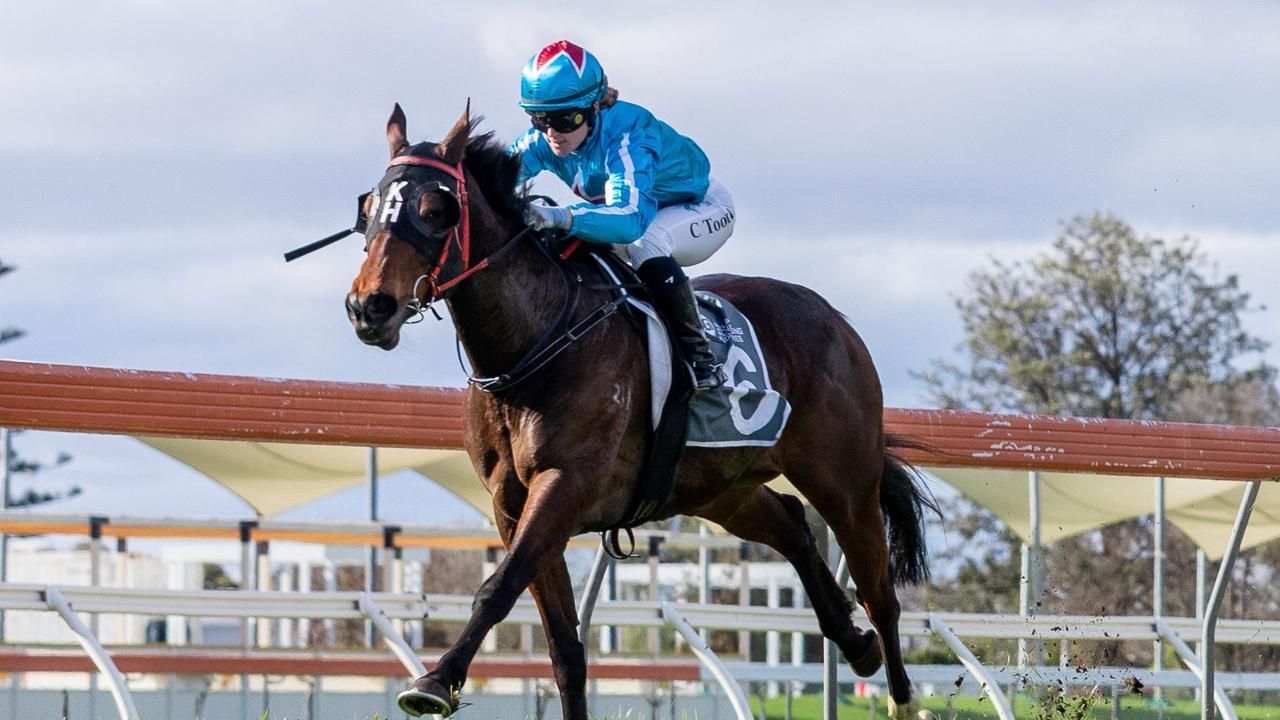 Five Each-Way: $600 steal nears half-a-million