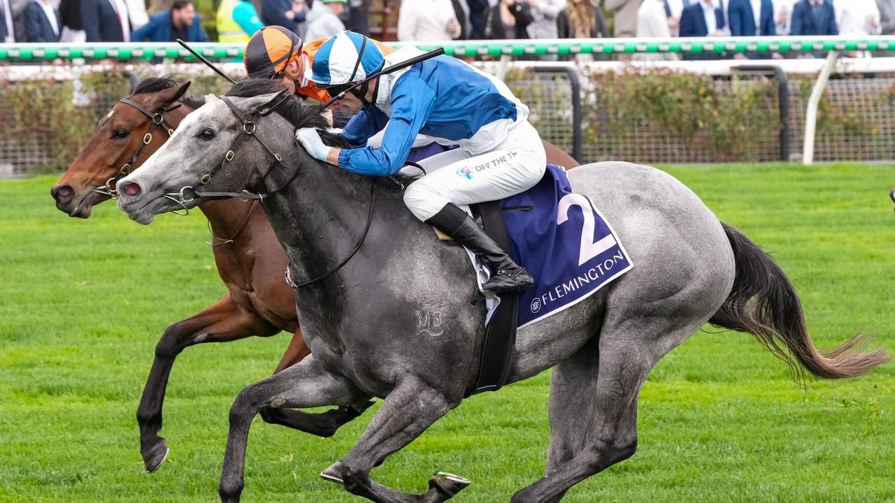 My Gladiola to trial at Sandown before Moir Stakes start