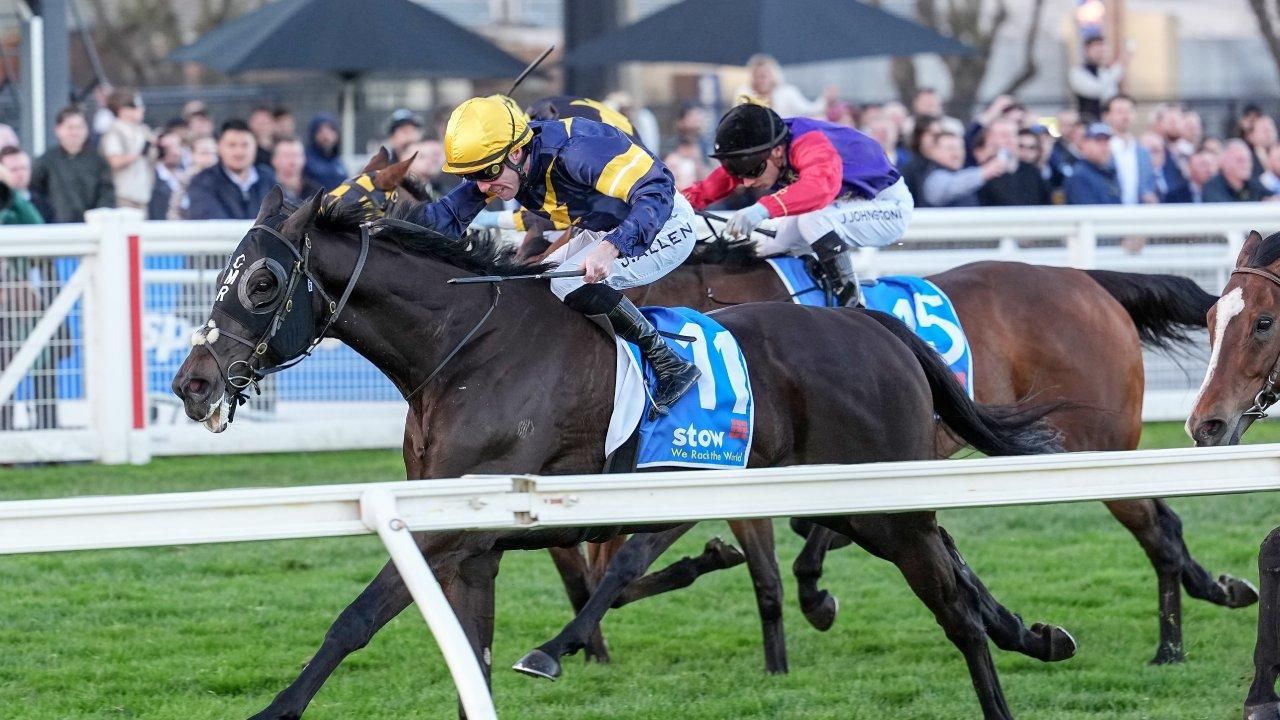 Price crunch on Maher trio for Sandown mid-week
