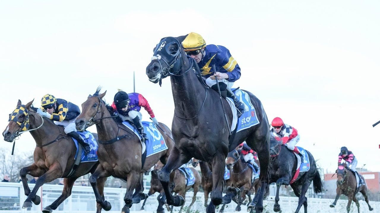 Online sales wrap - His Majesty sells one for $120,000