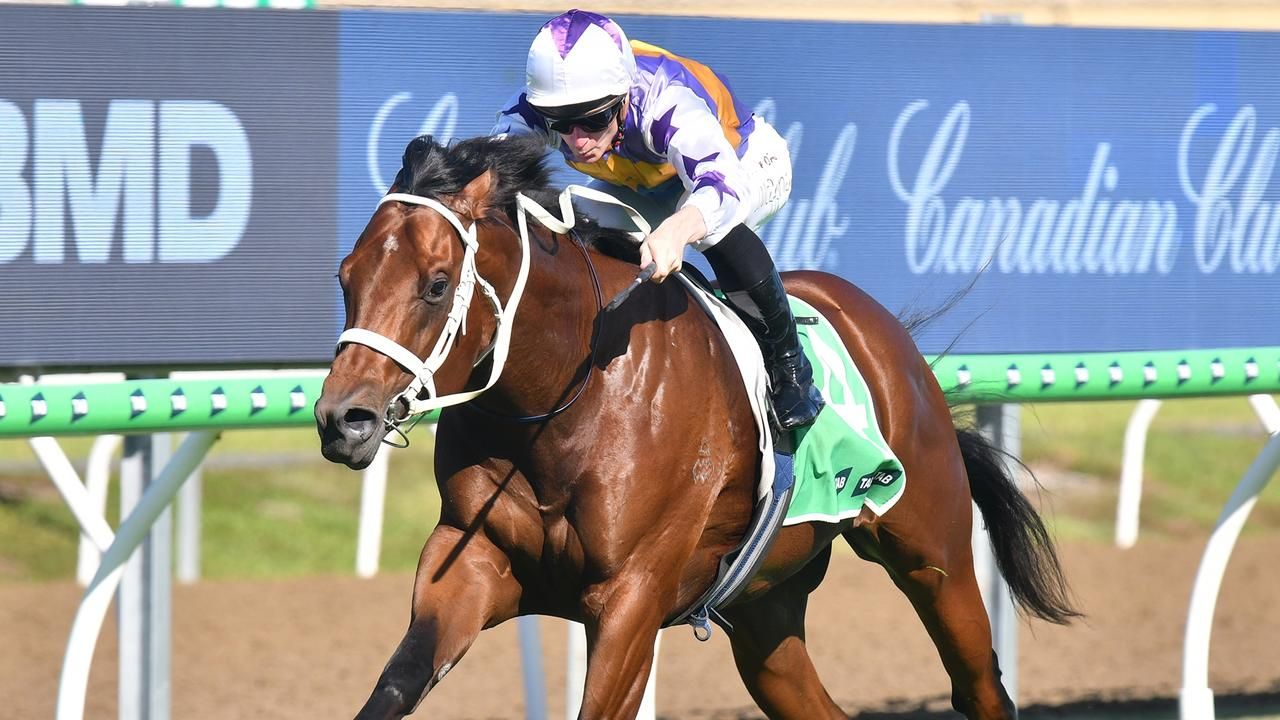Rosehill preview and tips - Run To The Rose day