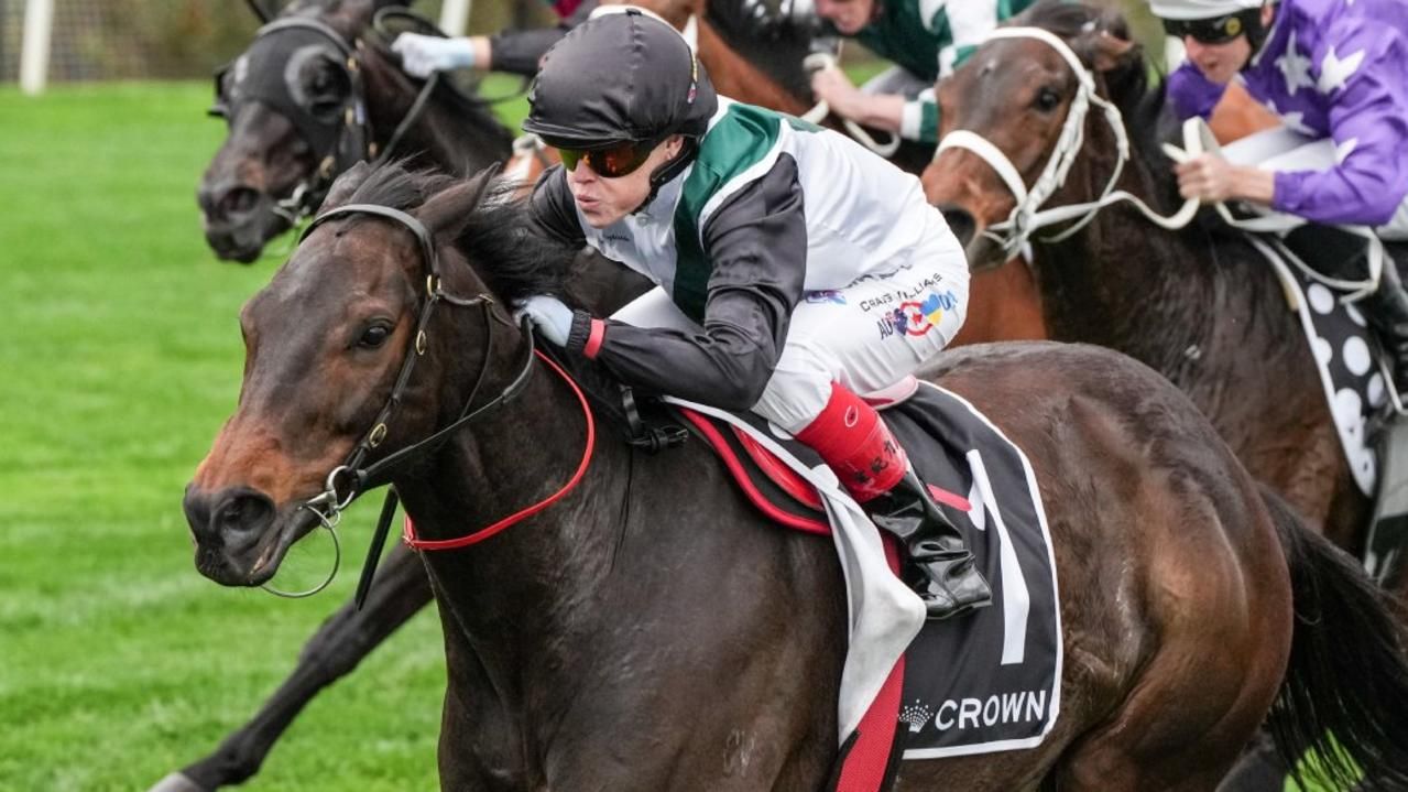 Makybe Diva Stakes 2026: Runner-by-runner preview, and tips
