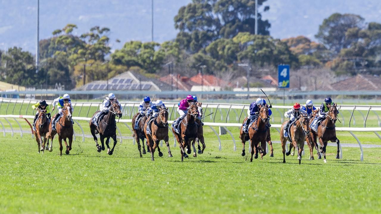 Morphettville Snapshot - Saturday, September 12