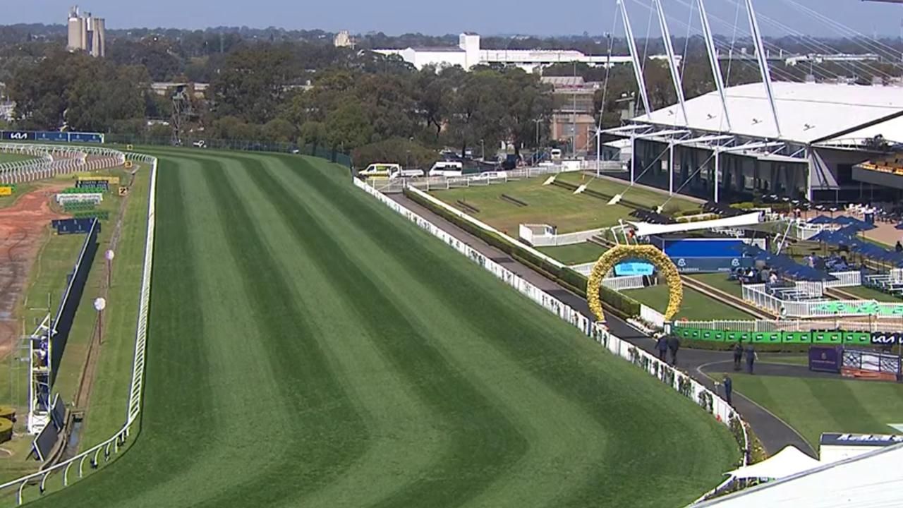 Tips and preview for Wednesday's Rosehill meeting [October 14]