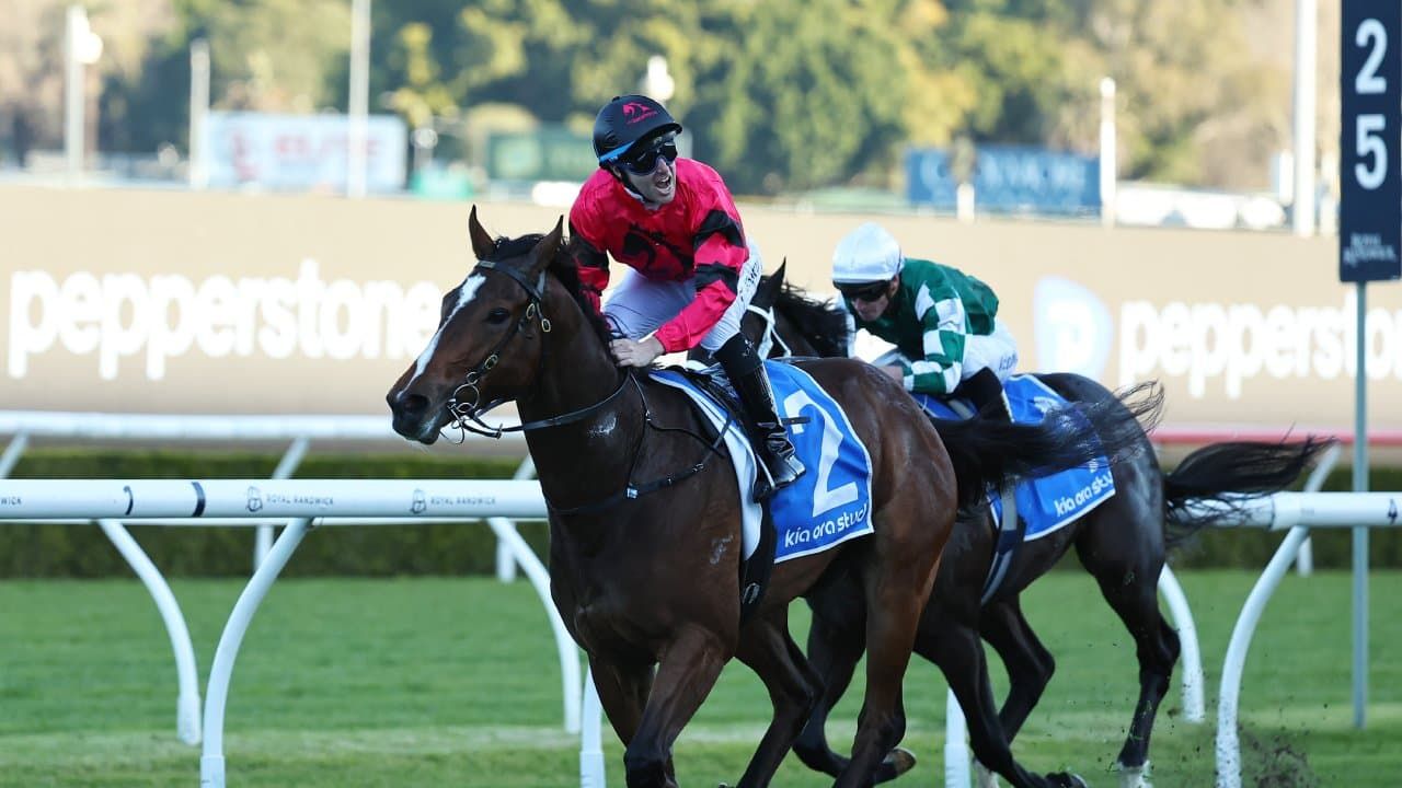 For sale - Sliver of Everest runner up for auction
