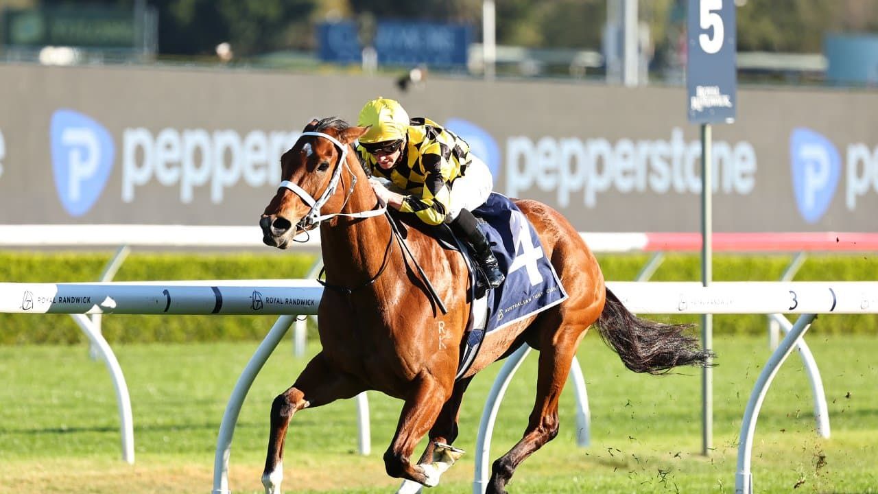 The Saturday noms - Caulfield Cup, The Everest day