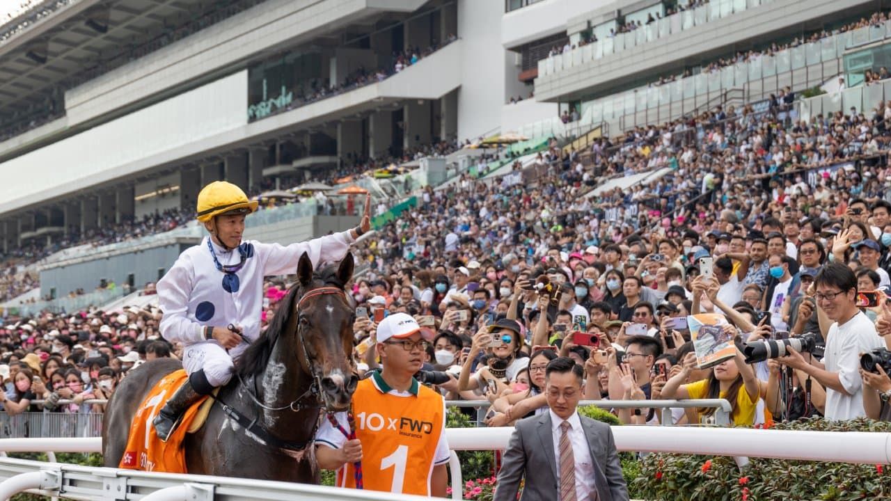 Half-sister to Hong Kong immortal set for Newcastle debut
