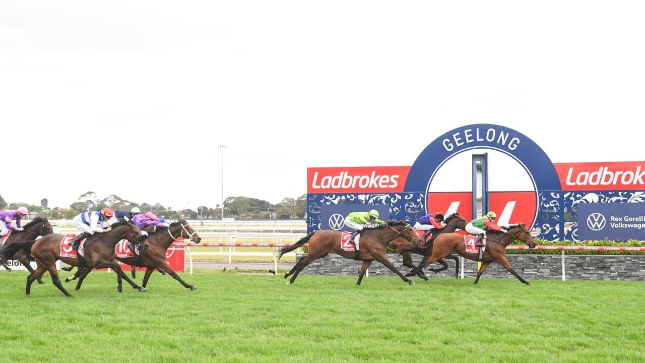 Geelong Cup final field - Melbourne Cup ticket beckons