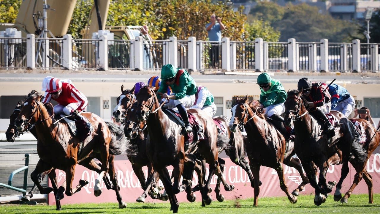 Expensive blueblood filly to debut in UK