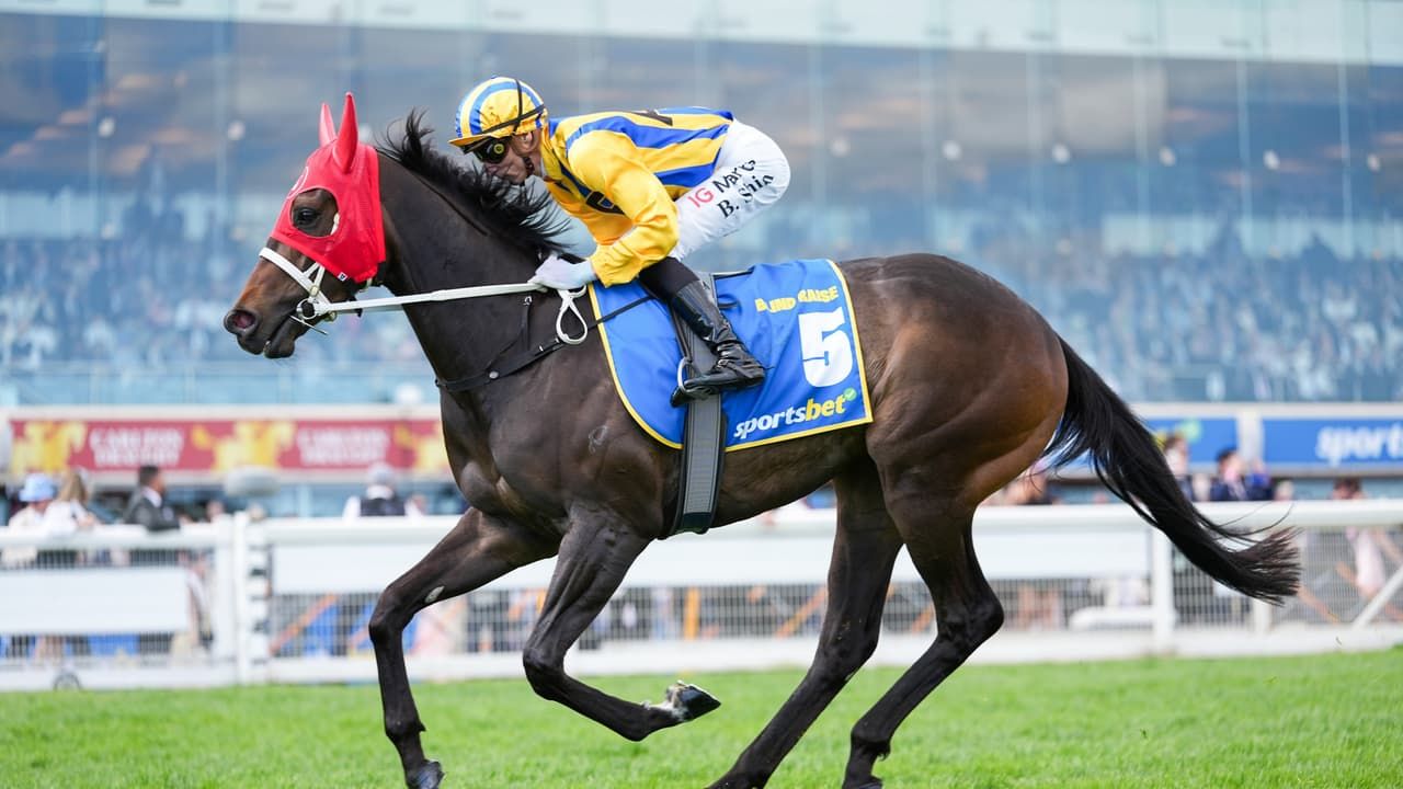 Blind Raise steps up to heavyweight class in Cox Plate