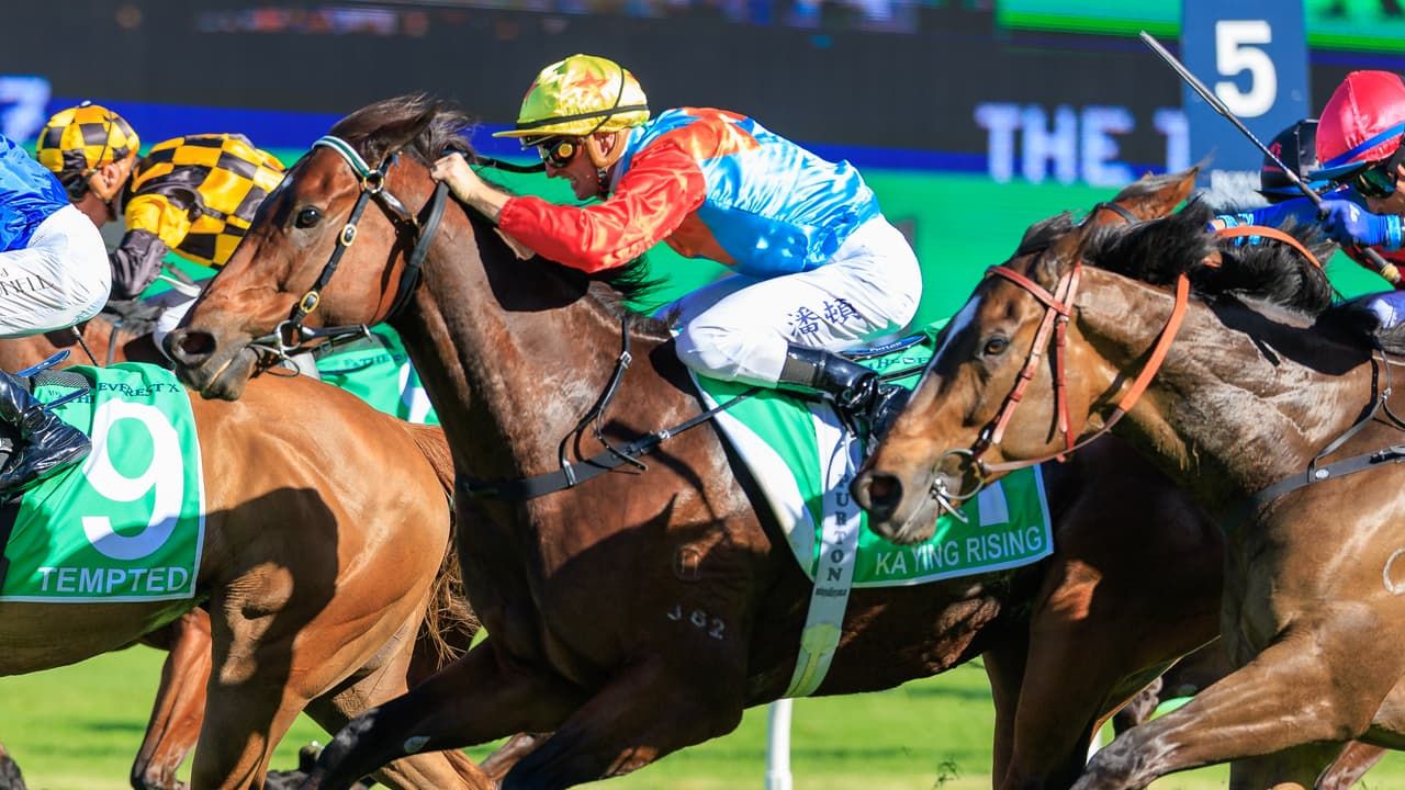 Ka Ying Rising's The Everest return already in motion