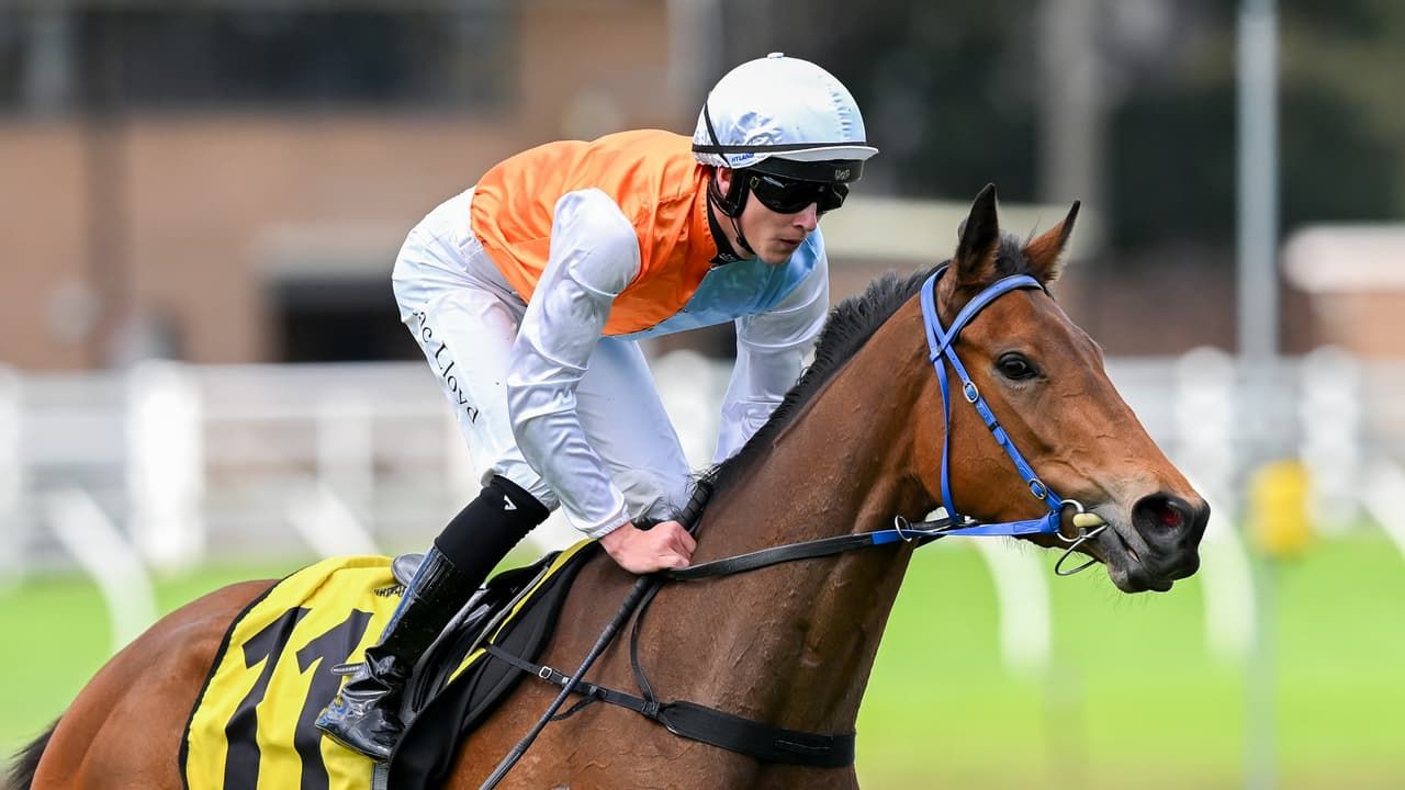 Randwick tips and preview: Spring Champion Stakes day