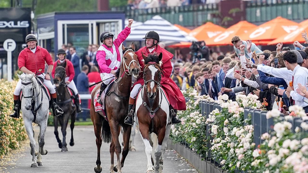 In Cox Plate victory, there's no half measures for William Pike