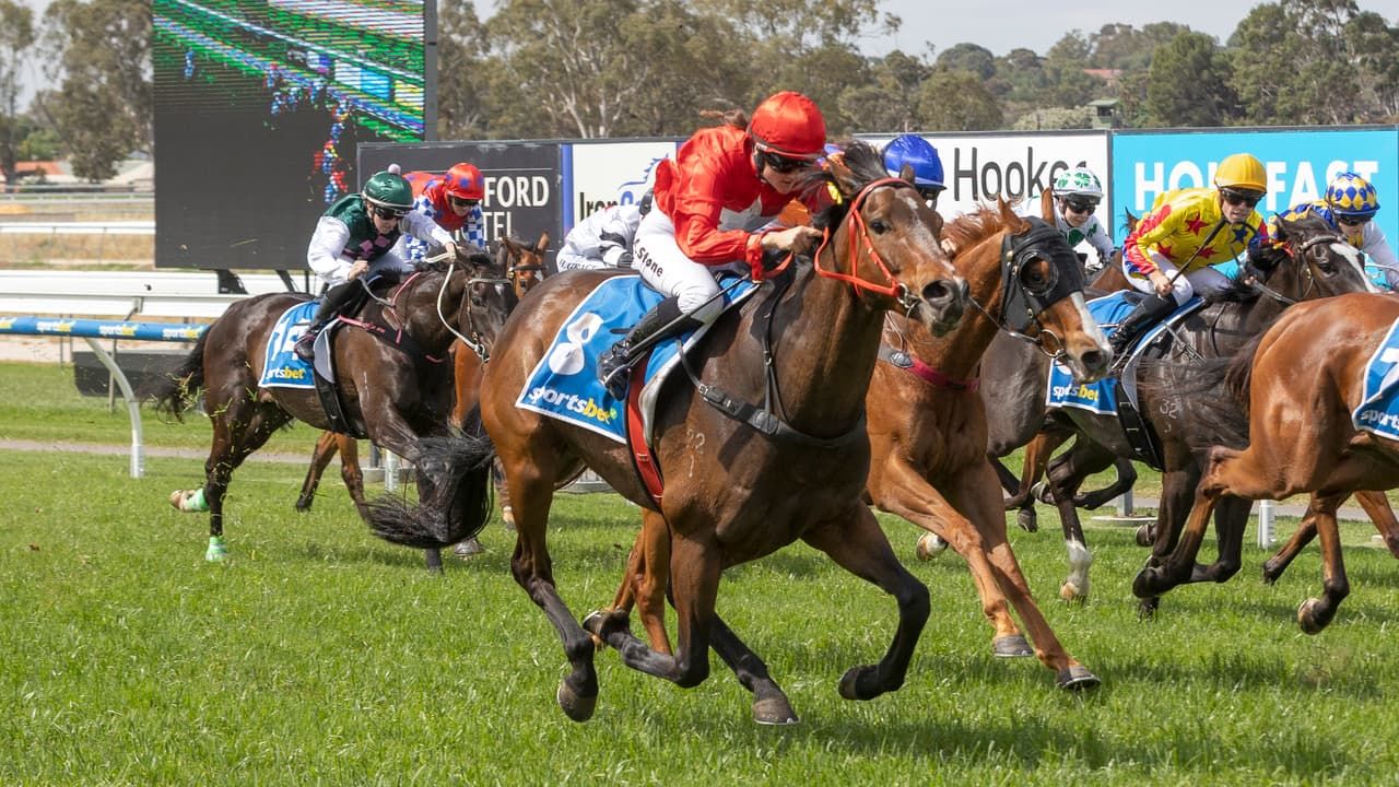 'Not on your life' - Bogarts steals the show after $101 upset