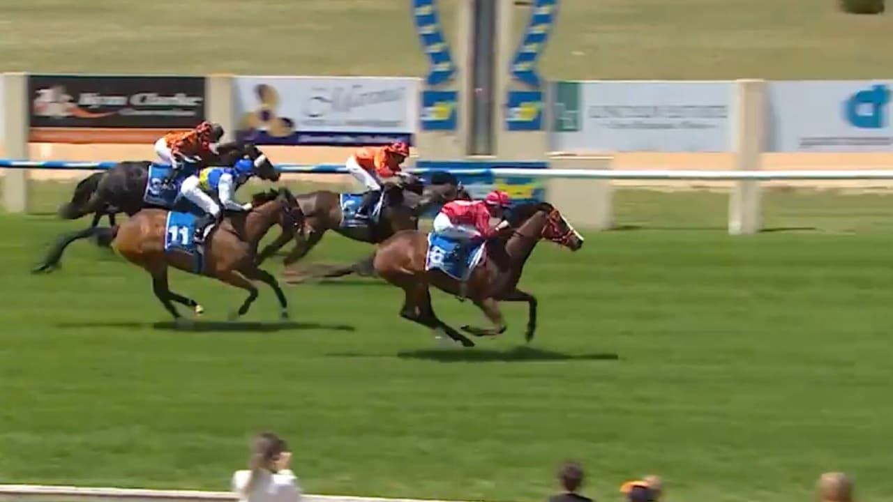 It's A Solid Deel snaps 24-start hoodoo with Port Lincoln win