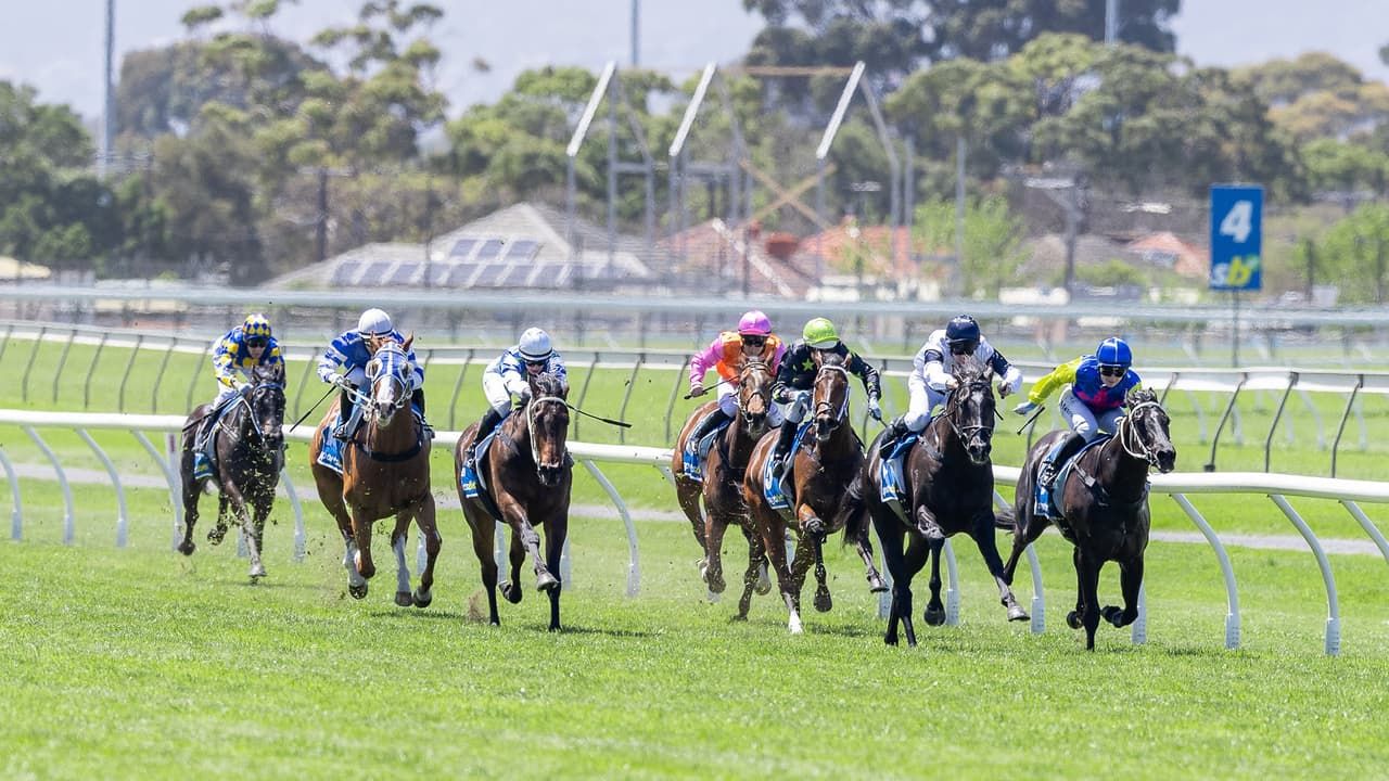 Morphettville snapshot: Saturday, October 31