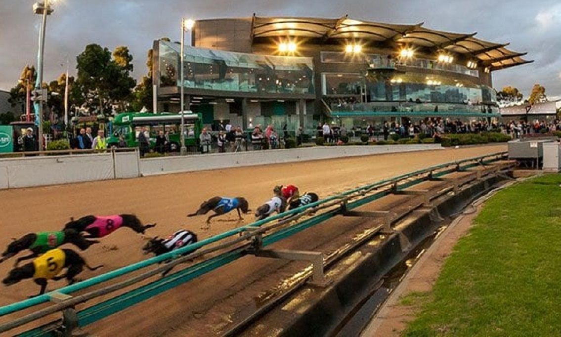 Meadows Raceway Tips, Late Mail For The Meadows Saturday Night - Greyhound Recorder