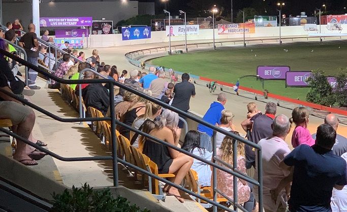 End Of An Era: Famous Dapto Dogs To Close - Greyhound Recorder