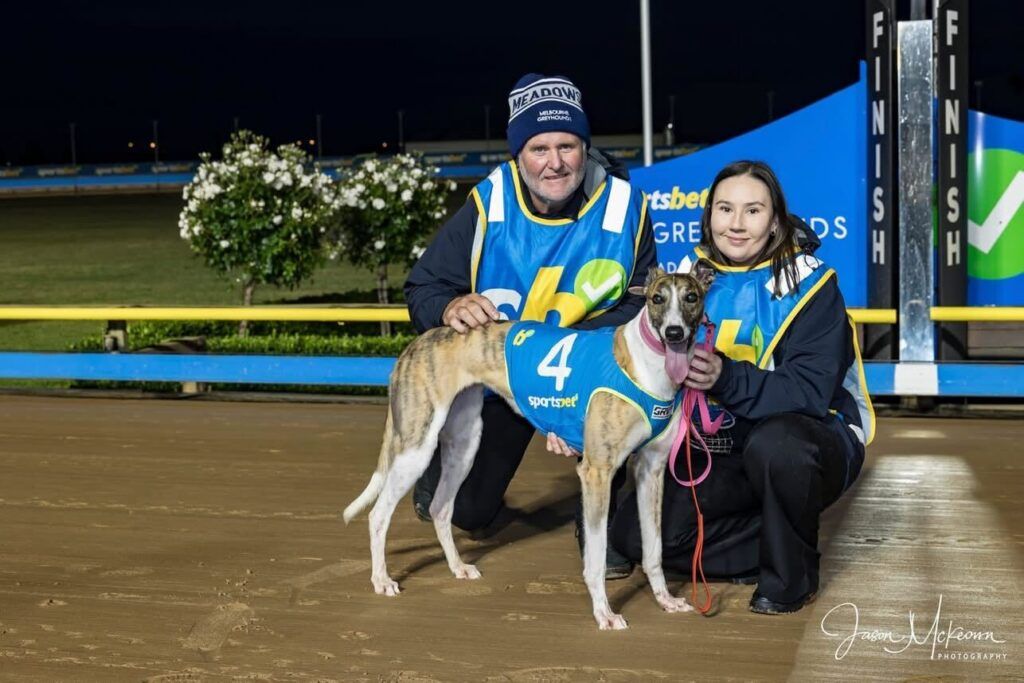 SA Star Mallee Beauty Sidelined By Back Injury - Greyhound Recorder