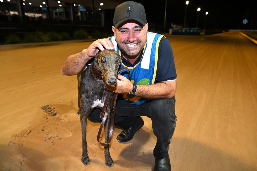 Canya Excites Azzopardi In Shepparton Cup Return - Greyhound Recorder