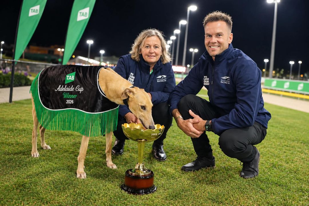 Intimidation Bullies Cup Rivals In Adelaide Upset - Greyhound Recorder