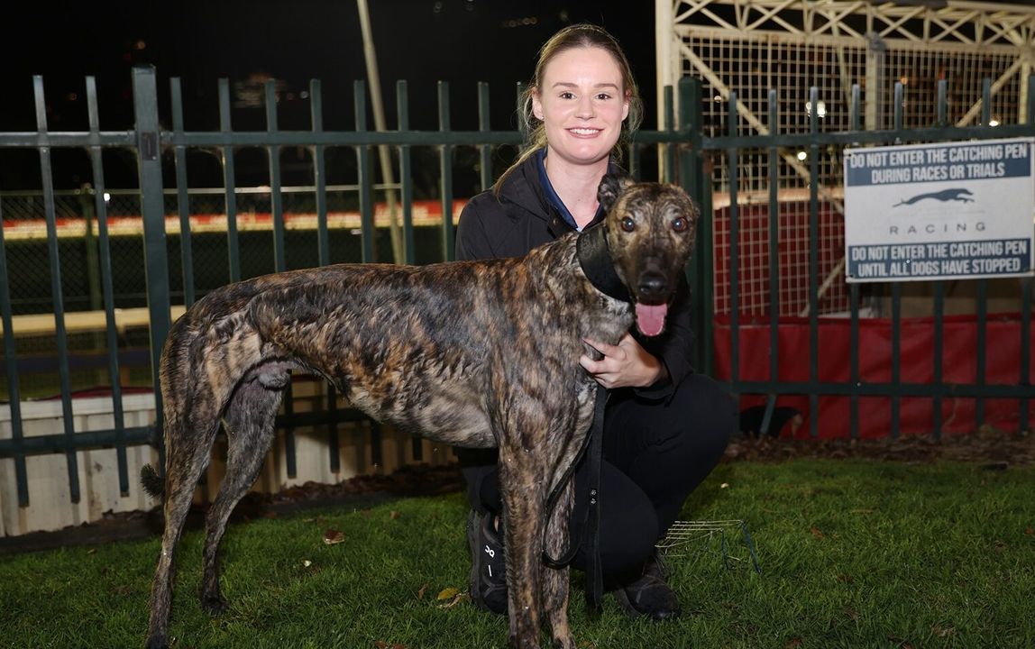 Last Minute Call Leads To MDC Maiden Blitz - Greyhound Recorder