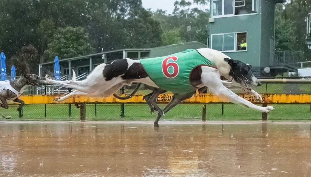 Southside Racing Success Rolls Into Healesville