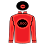 Silks